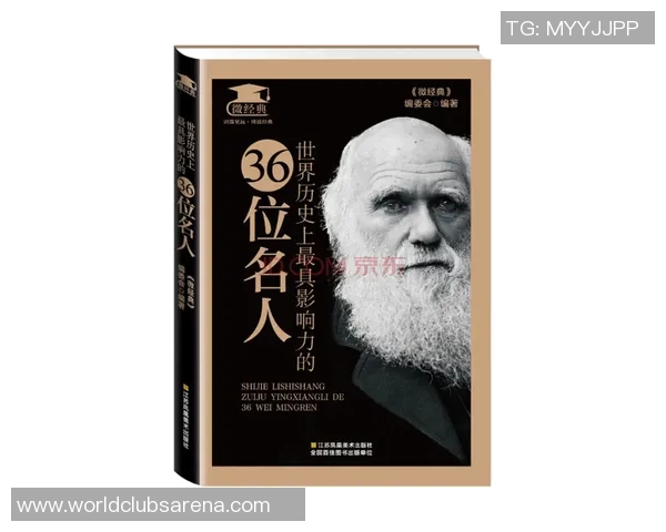 探索斯通斯的历史与文化影响力揭示其在当代社会的深远意义与价值